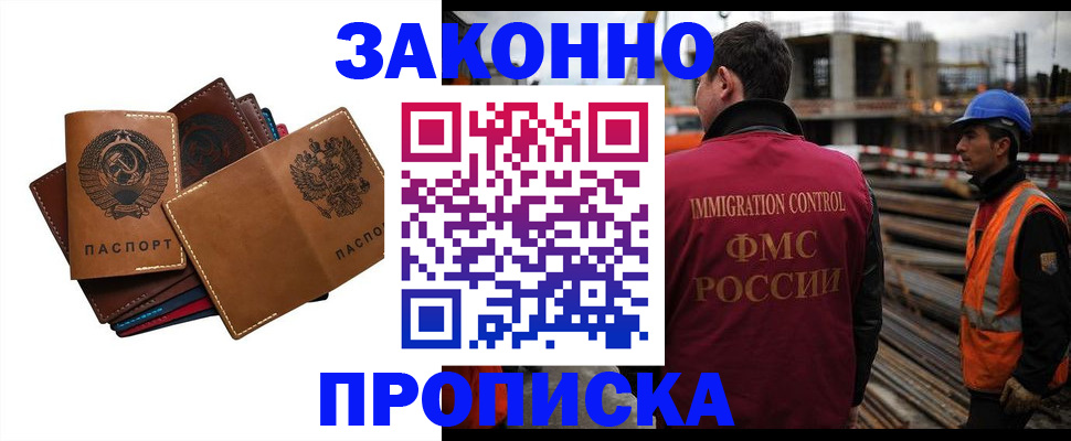 прописка в Курчалом